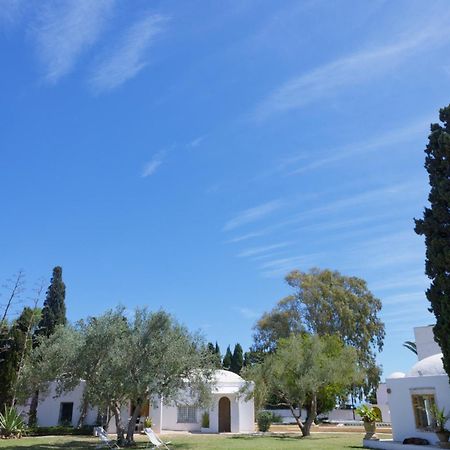 Lella Zohra, Studio Avec Piscine A Sidi Bou Said Bed and Breakfast Εξωτερικό φωτογραφία