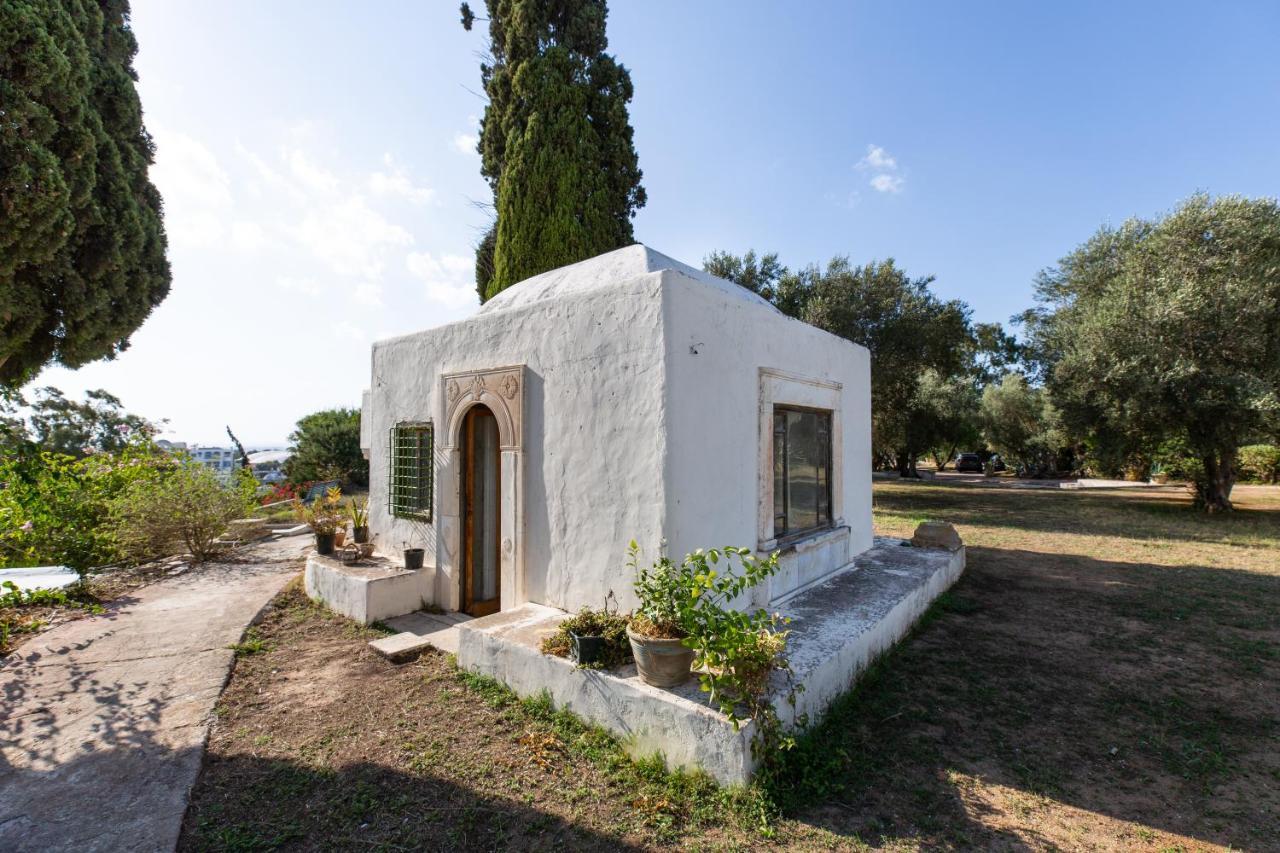Lella Zohra, Studio Avec Piscine A Sidi Bou Said Bed and Breakfast Εξωτερικό φωτογραφία
