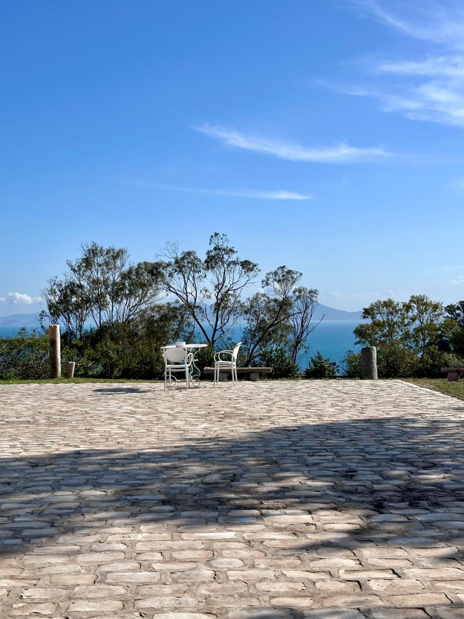 Lella Zohra, Studio Avec Piscine A Sidi Bou Said Bed and Breakfast Εξωτερικό φωτογραφία