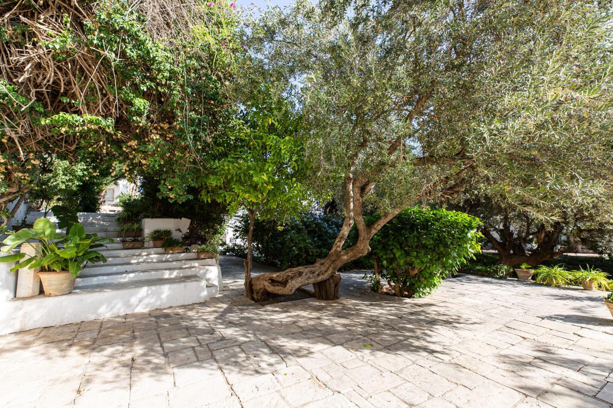 Lella Zohra, Studio Avec Piscine A Sidi Bou Said Bed and Breakfast Εξωτερικό φωτογραφία