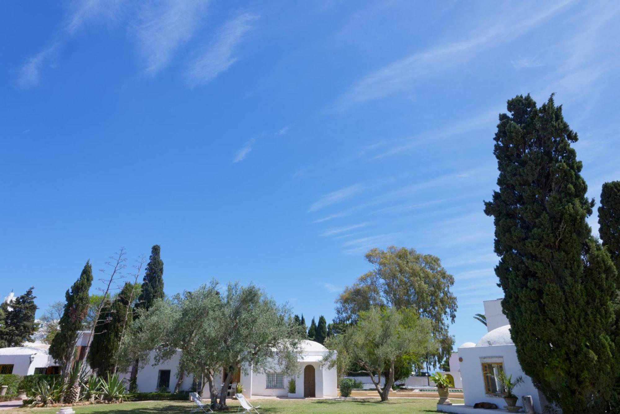 Lella Zohra, Studio Avec Piscine A Sidi Bou Said Bed and Breakfast Εξωτερικό φωτογραφία