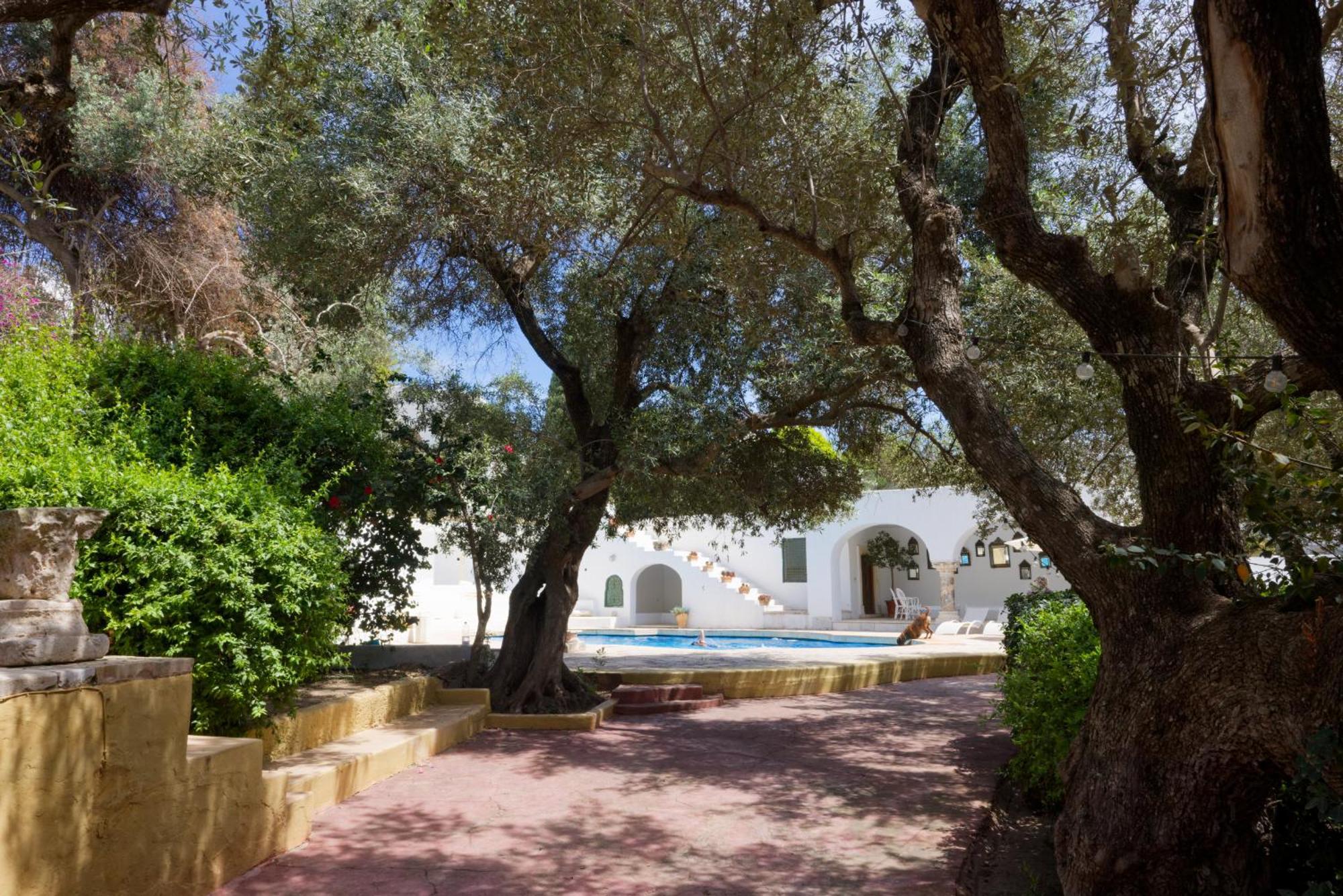 Lella Zohra, Studio Avec Piscine A Sidi Bou Said Bed and Breakfast Εξωτερικό φωτογραφία